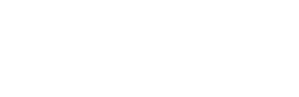 Visa card